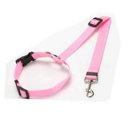 TravelPaw™ – 2-in-1 Pet Car Seat Belt & Leash