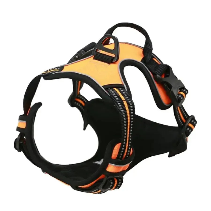 Dog Harness & Leash Set