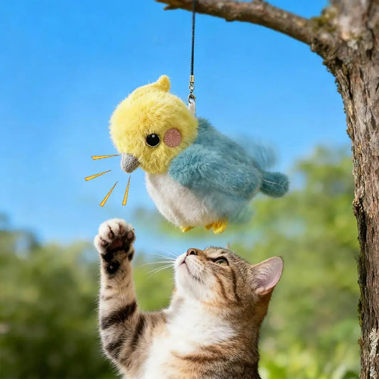 Rechargeable Flapping Wing Cat Toy – USB Charging Interactive Play
