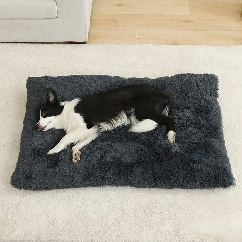 CloudNest™ – Ultra-Soft Plush Pet Bed