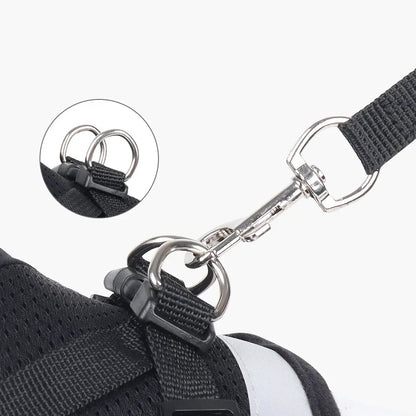 Adjustable Reflective Cat & Small Dog Harness Leash Set – Escape-Proof Mesh Vest