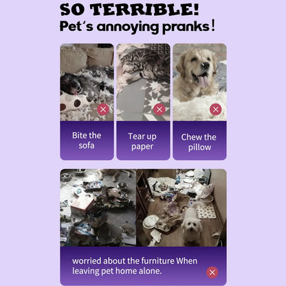 Anti-Scratch & Chew Repellent Spray for Cats and Dogs – Furniture Protector