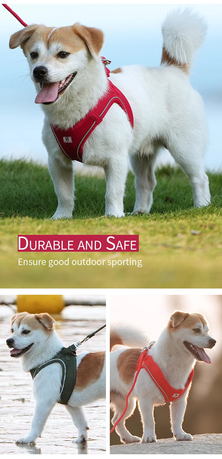 SafePaw™ – Reflective Harness & Leash Set