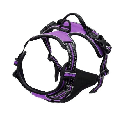 Dog Harness & Leash Set