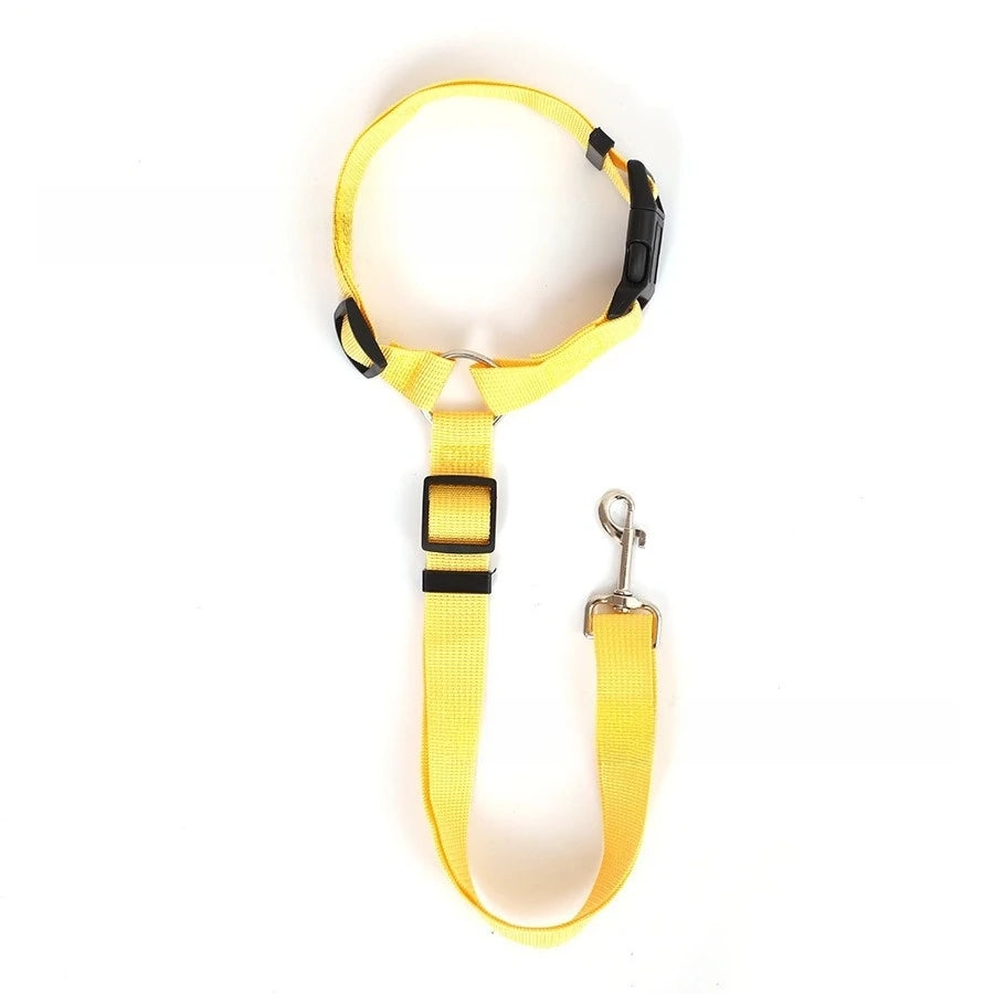 TravelPaw™ – 2-in-1 Pet Car Seat Belt & Leash