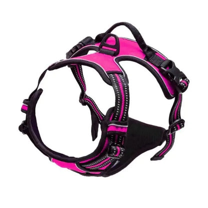 Dog Harness & Leash Set