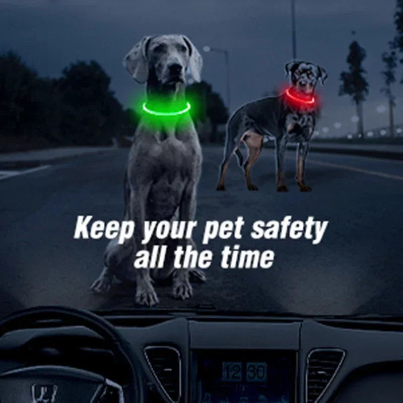 GlowPaw™ –  Rechargeable LED Light Collar