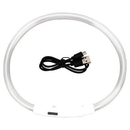 GlowPaw™ –  Rechargeable LED Light Collar
