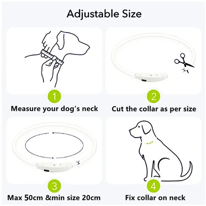 GlowPaw™ –  Rechargeable LED Light Collar