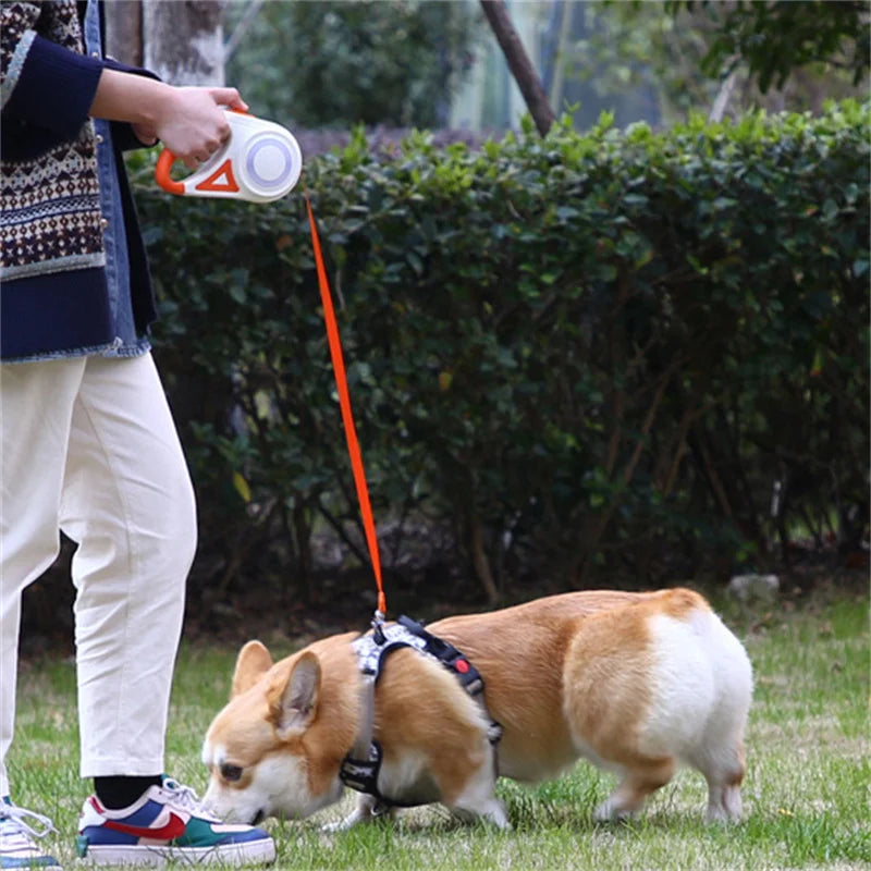 PawGo™ – Retractable Leash for Night Walks