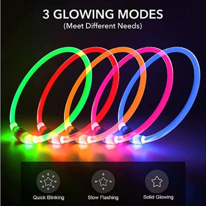 GlowPaw™ –  Rechargeable LED Light Collar
