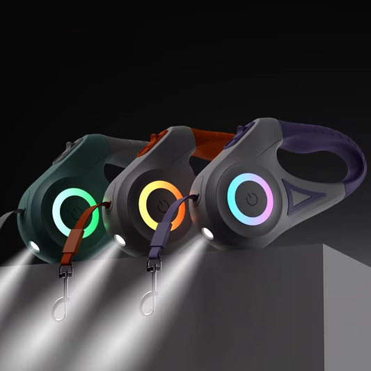 PawGo™ – Retractable Leash for Night Walks