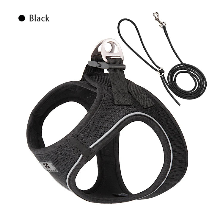 SafePaw™ – Reflective Harness & Leash Set