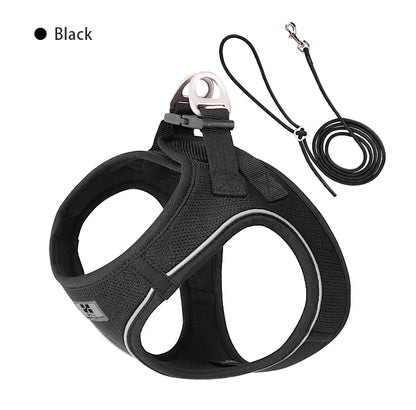 SafePaw™ – Reflective Harness & Leash Set