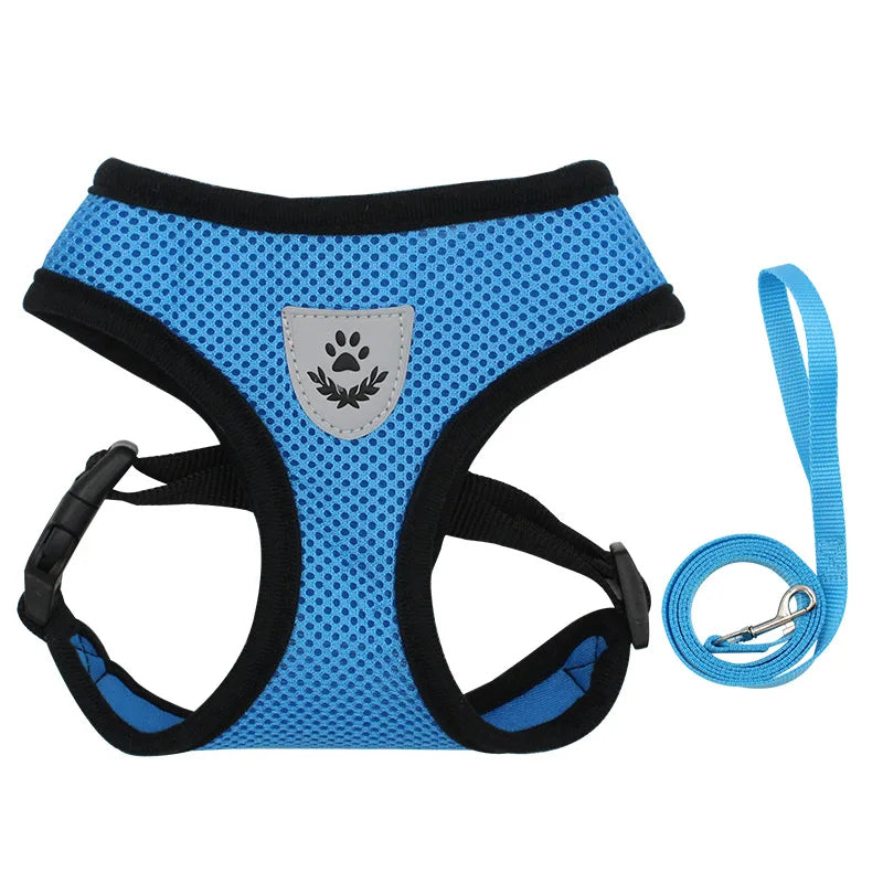 AirPaw™ – Breathable Mesh Harness & Leash Set