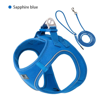 SafePaw™ – Reflective Harness & Leash Set