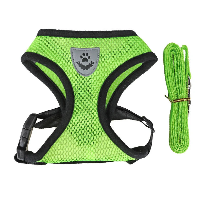 AirPaw™ – Breathable Mesh Harness & Leash Set