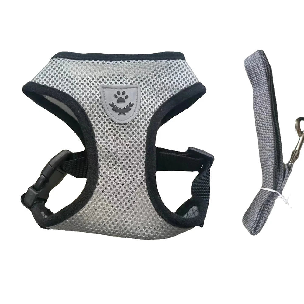AirPaw™ – Breathable Mesh Harness & Leash Set