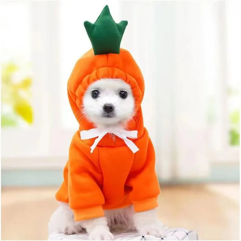 Cute Dog & Cat Hoodie – Fruit-Themed Funny Pet Coat with Hat, Halloween Cosplay Costume