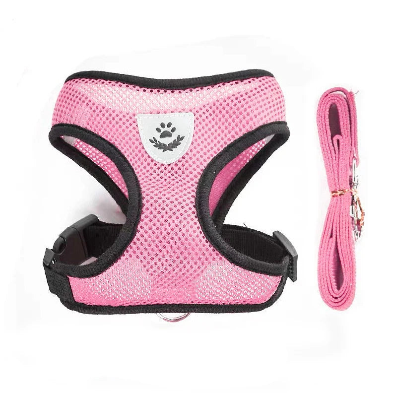 AirPaw™ – Breathable Mesh Harness & Leash Set