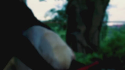 LED Dog Harness – No-Pull, Adjustable & Rechargeable