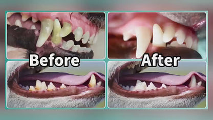 Electric Ultrasonic Pet Dental Cleaner – Plaque & Tartar Remover for Dogs and Cats