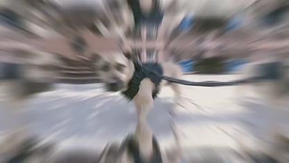 TactiLeash™ – Reflective Shock-Absorbing Bungee Leash