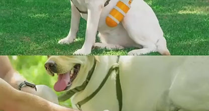 Dog & Cat Pooper Scooper with Bag Dispenser