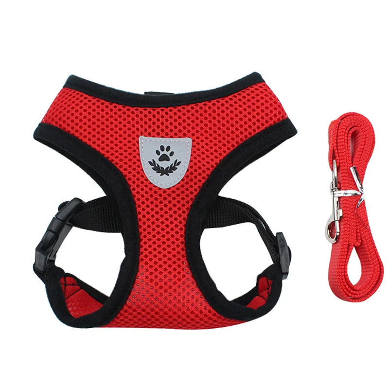AirPaw™ – Breathable Mesh Harness & Leash Set